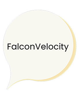 FalconVelocity Logo